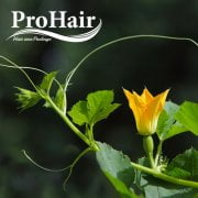 پکیج مراقبت از مو Prohair - فروشگاه سلامت گل شفا